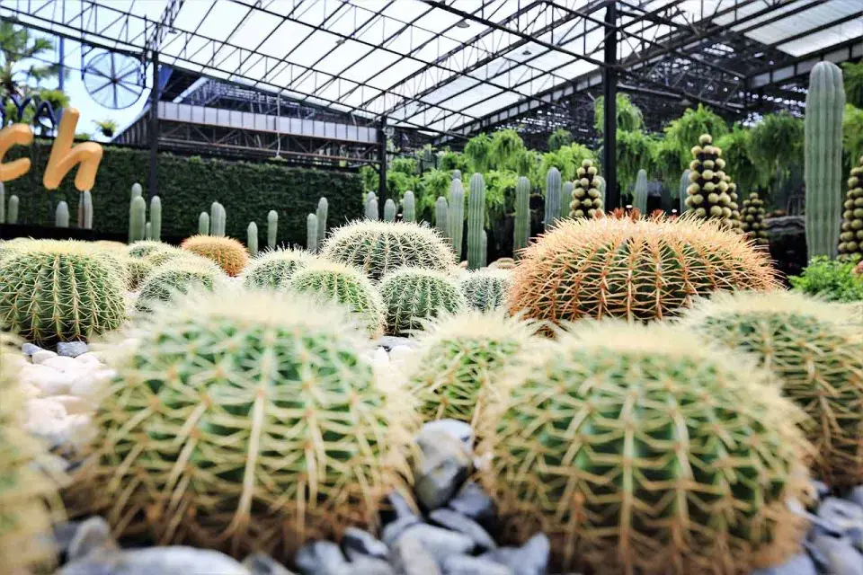 Tropická zahrada Nong Nooch