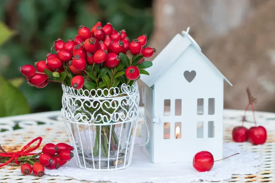 Šípkové dekorace4