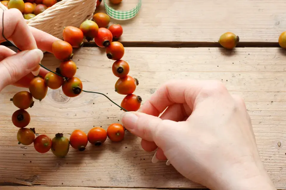 Šípkové dekorace3