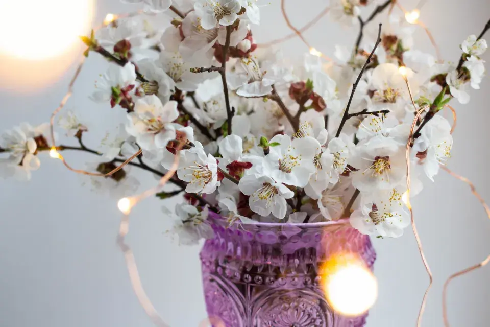 Kvetoucí větve ve váze