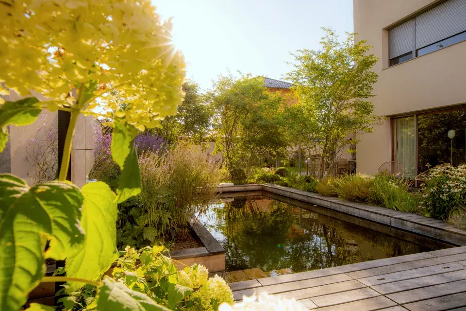 Zahrada roku 2022_1. místo