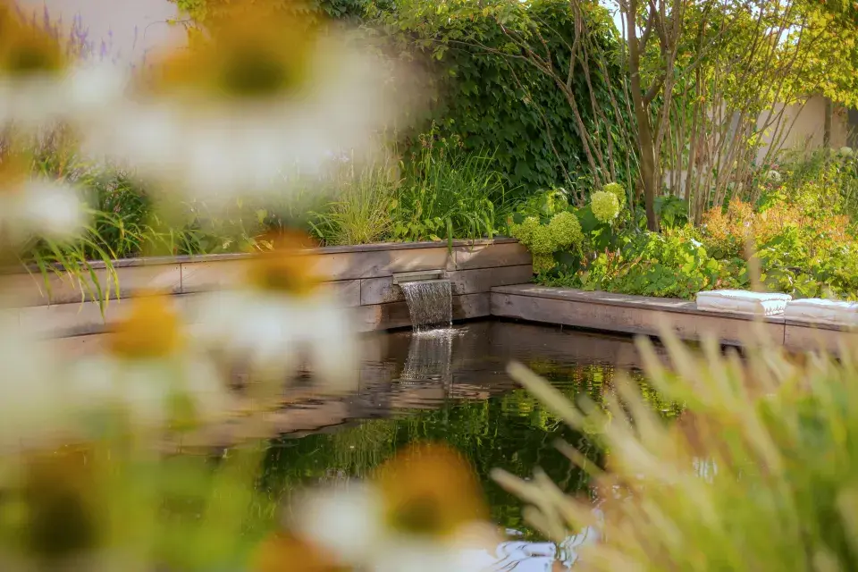 Zahrada roku 2022_1. místo