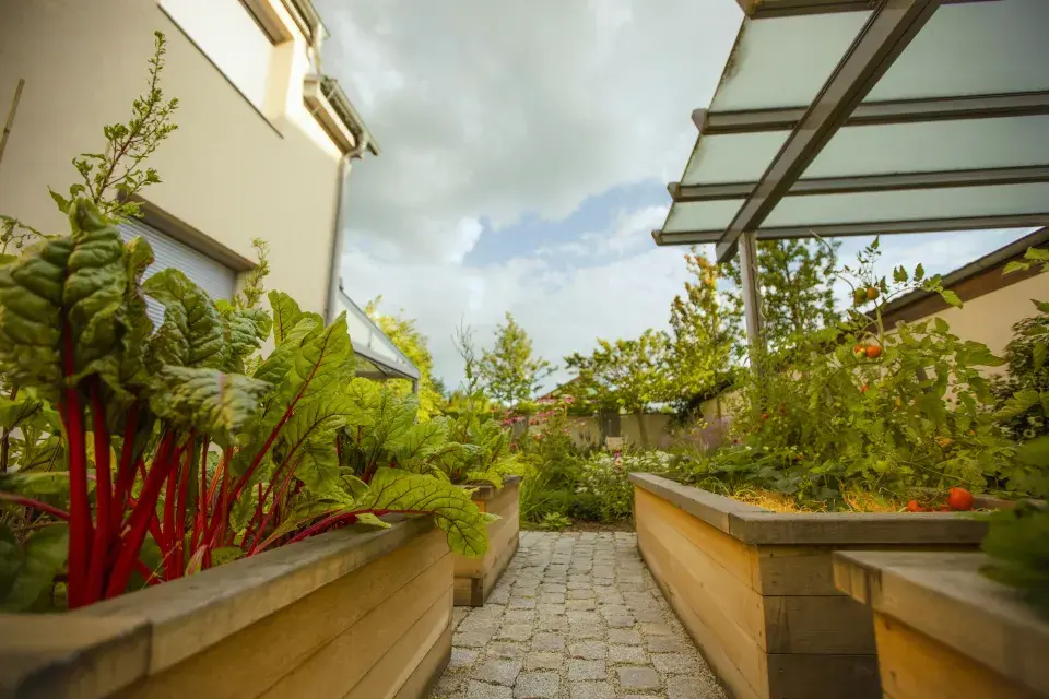 Zahrada pod muchovníky