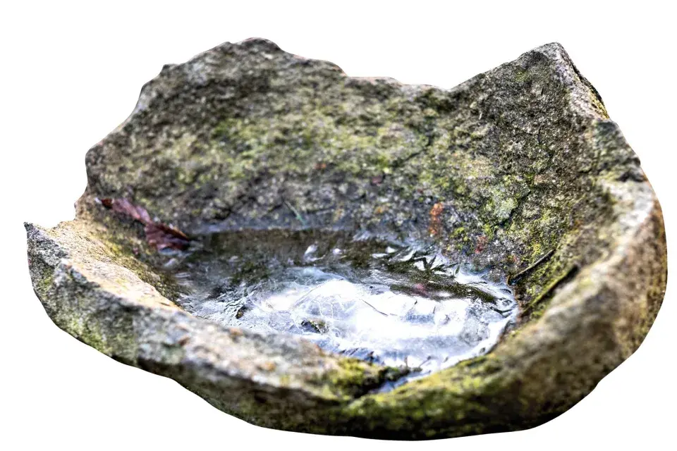 Kamenné ptačí pítko