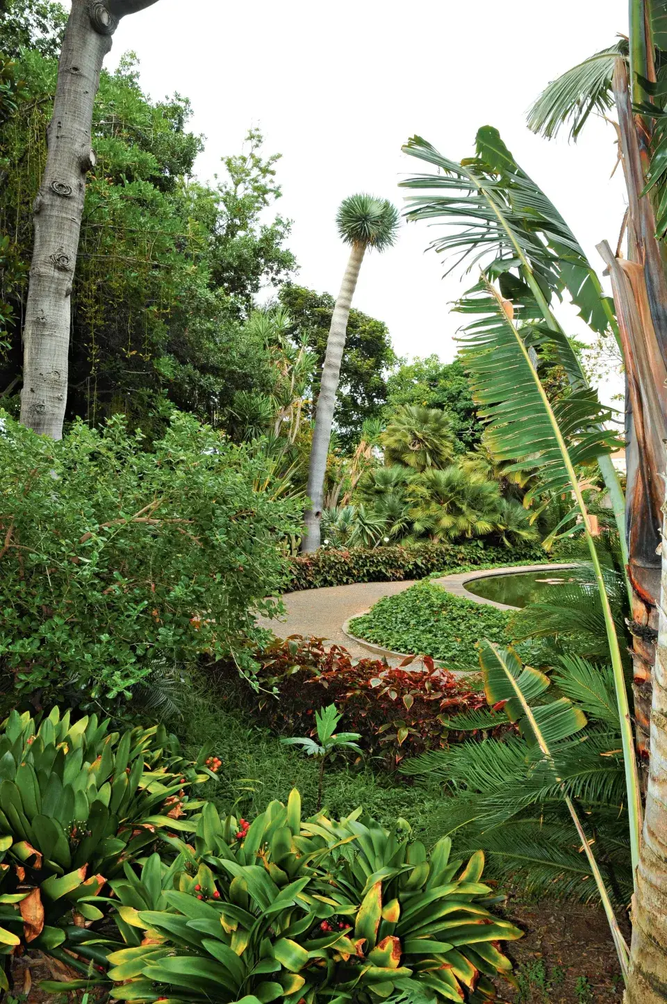 Aklimatizační zahrada La Orotava