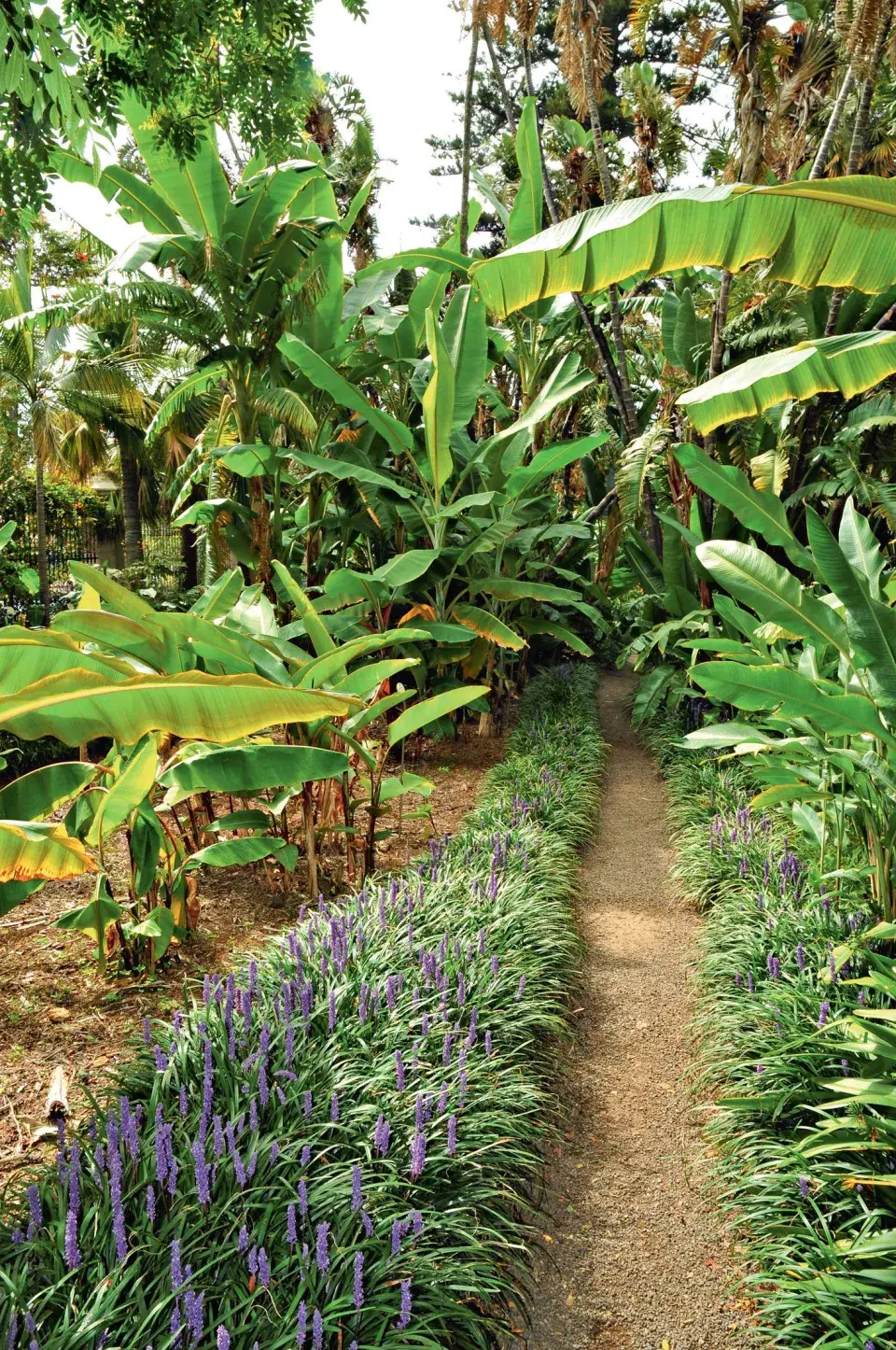 Aklimatizační zahrada La Orotava