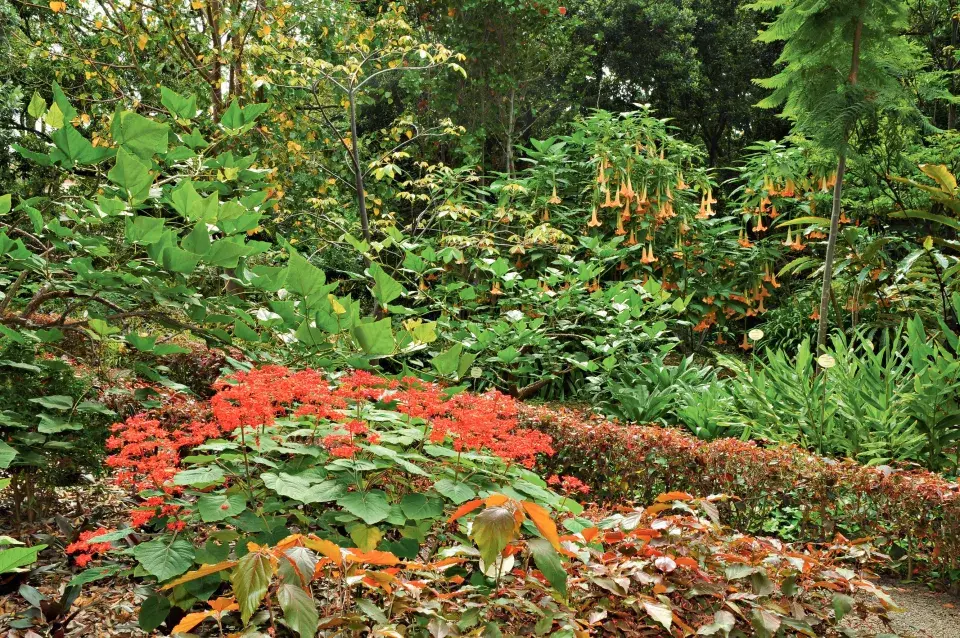 Aklimatizační zahrada La Orotava