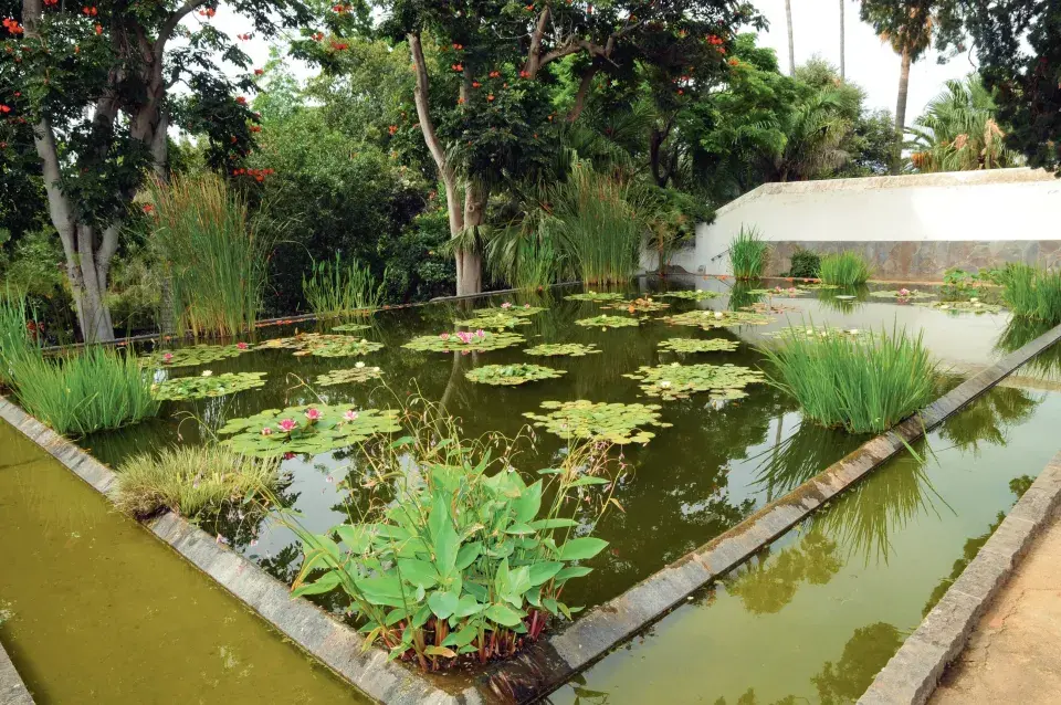 Aklimatizační zahrada La Orotava