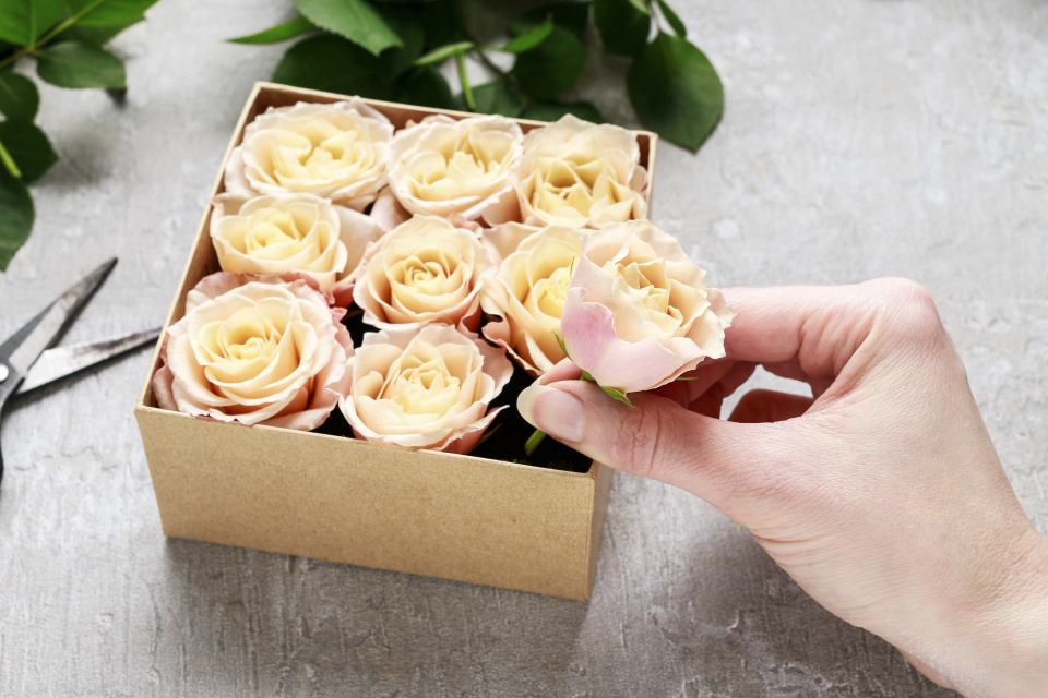 Box10