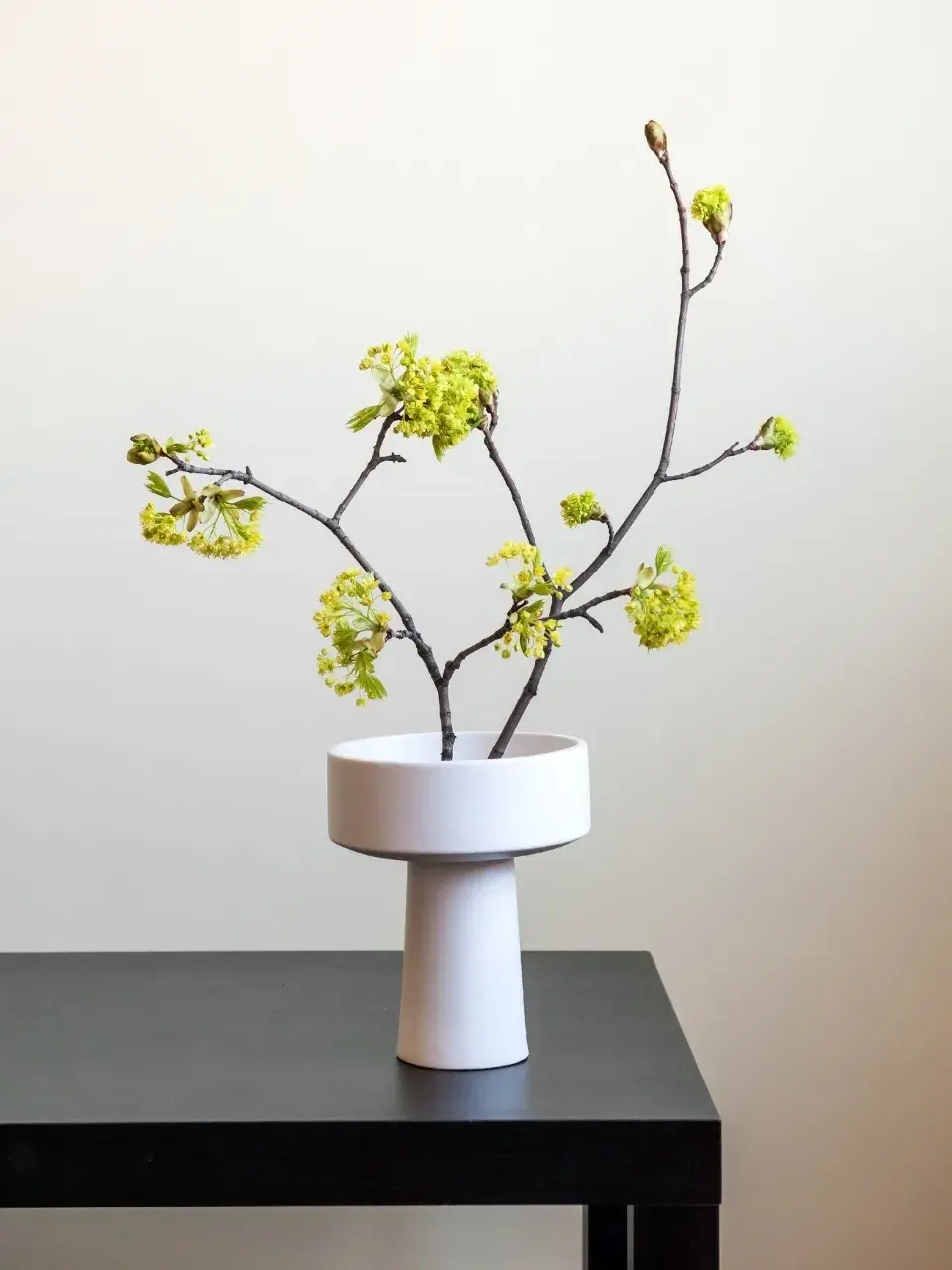 Ikebana1