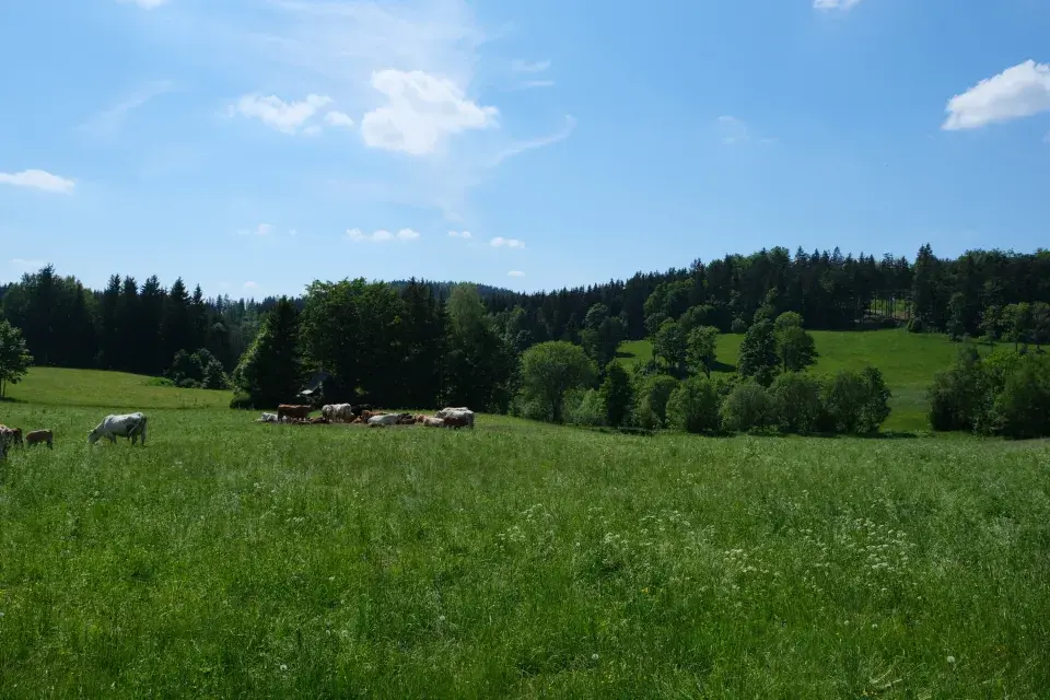 Ferdinandovy zahrady: Proměna zahrady u potoka