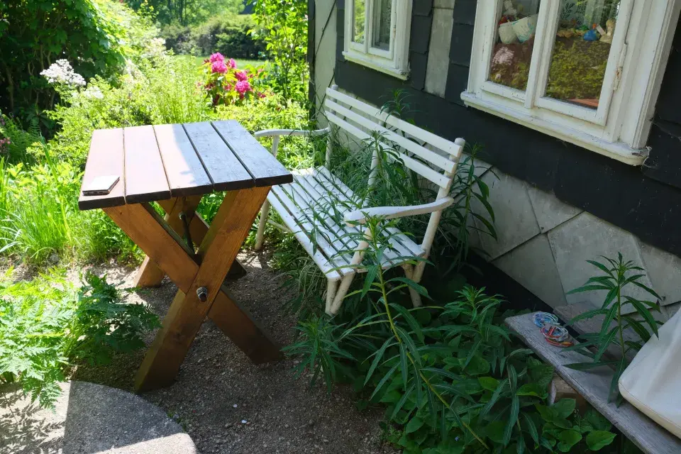 Ferdinandovy zahrady: Proměna zahrady u potoka