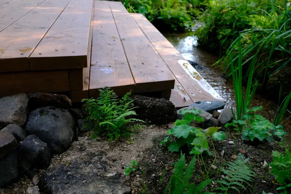 Ferdinandovy zahrady: Proměna zahrady u potoka