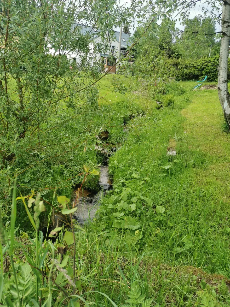 Ferdinandovy zahrady: Proměna zahrady u potoka