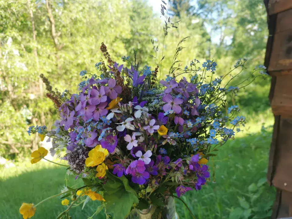 Ferdinandovy zahrady: Proměna zahrady u potoka