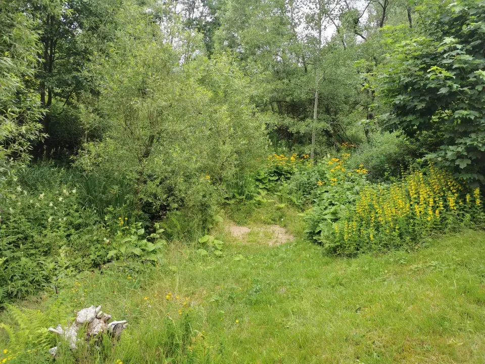 Ferdinandovy zahrady: Proměna zahrady u potoka