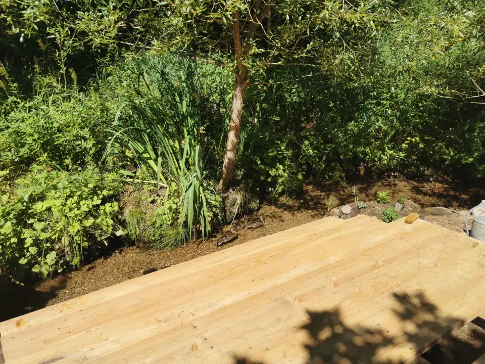 Ferdinandovy zahrady: Proměna zahrady u potoka