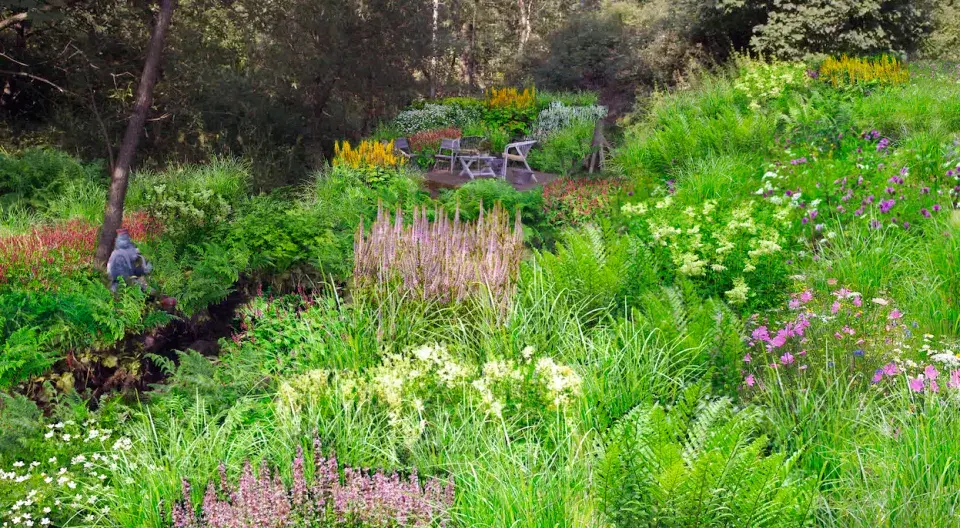 Ferdinandovy zahrady: Proměna zahrady u potoka