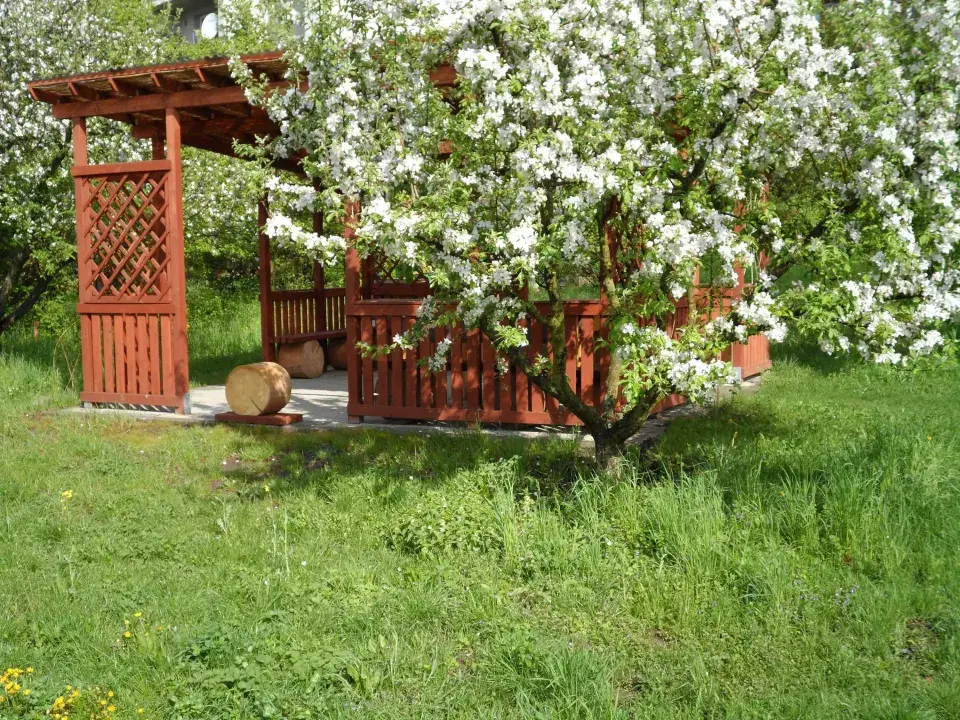 TyMyJáNová zahrada