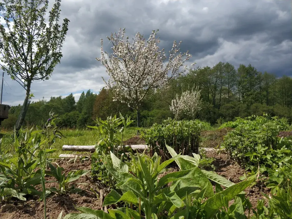  Experimentalní zahrada pod Blaníkem