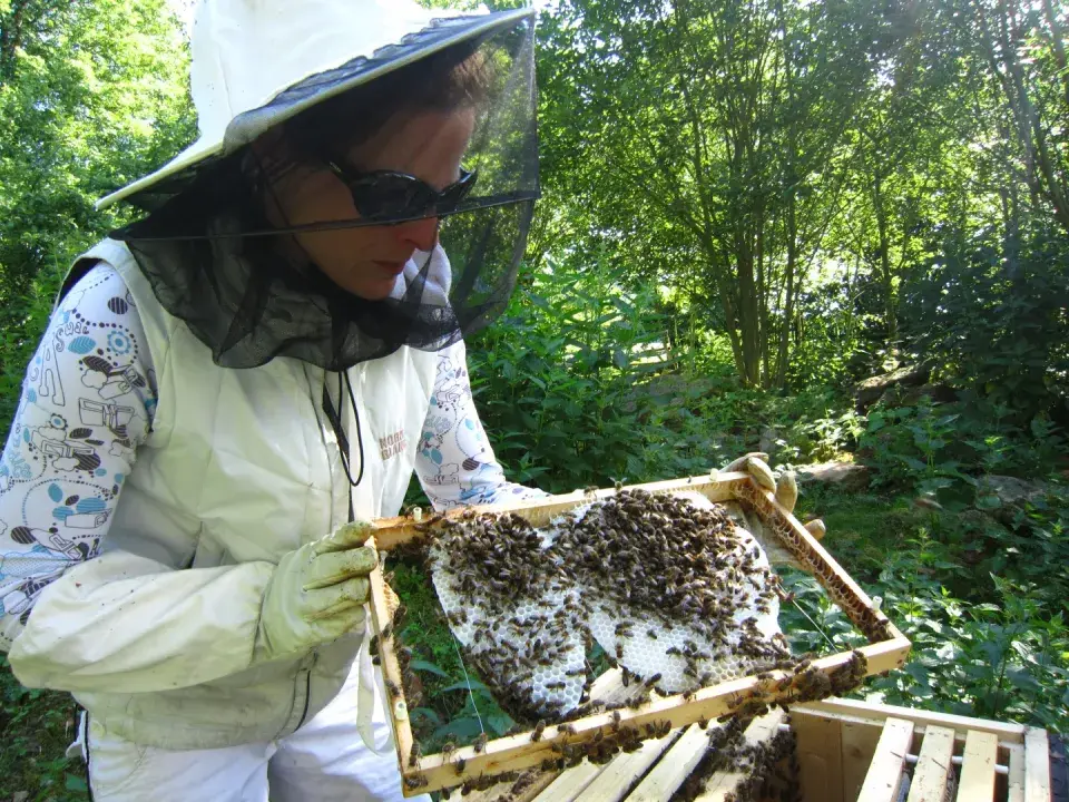 Experimentalní zahrada pod Blaníkem