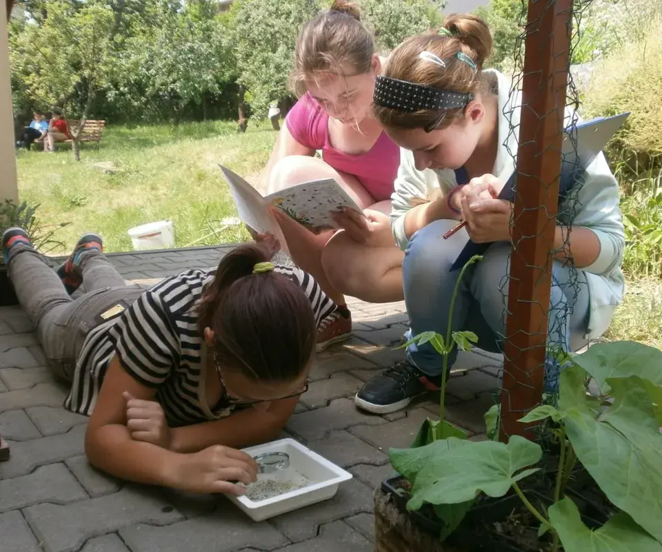 TyMyJáNová zahrada