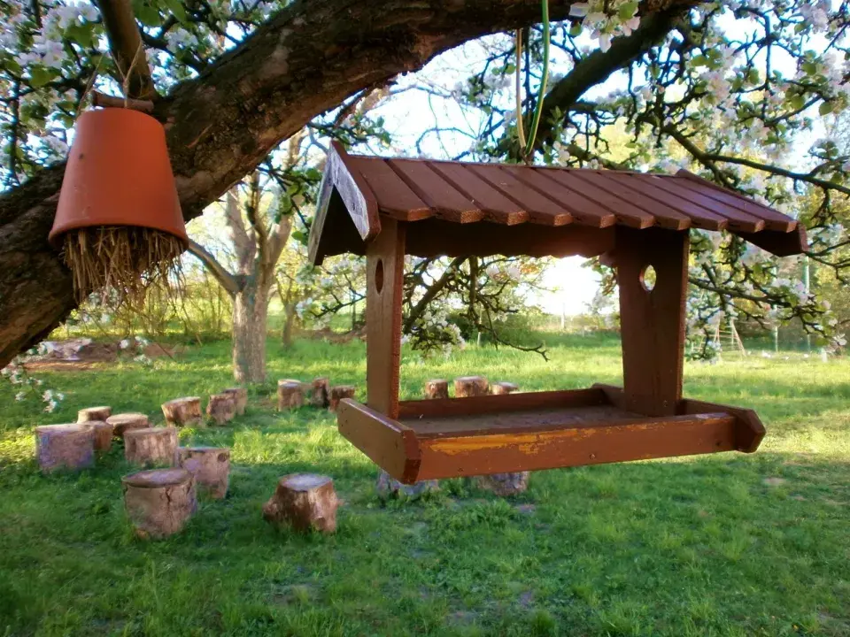 TyMyJáNová zahrada