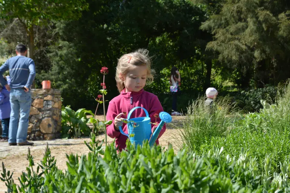 Valtice Bylinkova zahrada