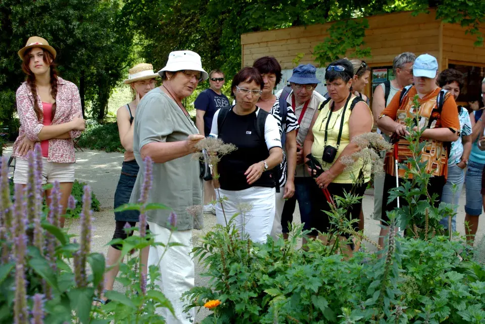 Valtice Bylinkova zahrada