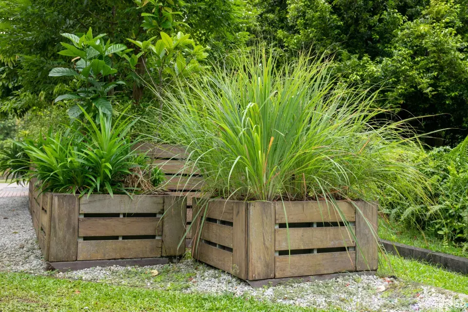 Travinám to sluší i v dřevěných bedýnkách