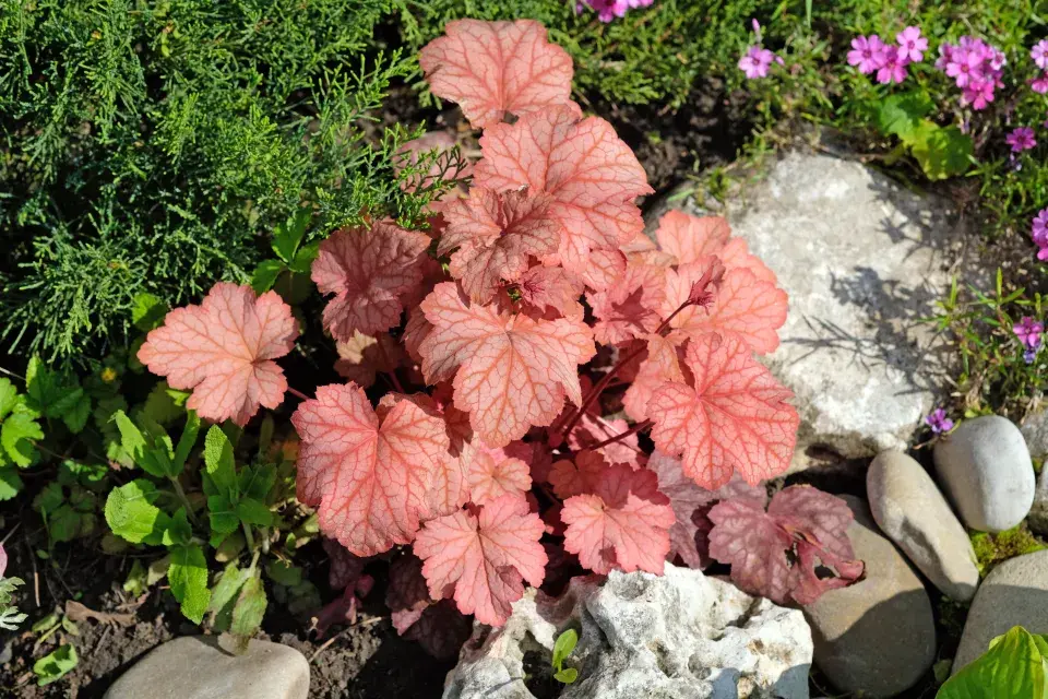 výzdoba hrobu za pár korun