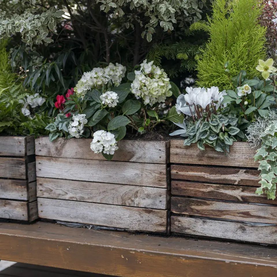 Osázení truhlíků