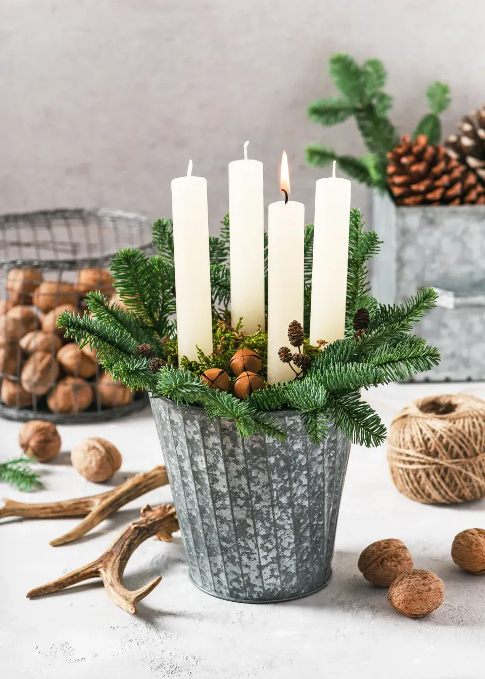 Advent v květináči