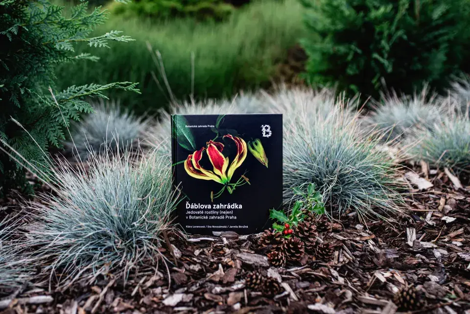 Kniha Ďáblova zahrádka