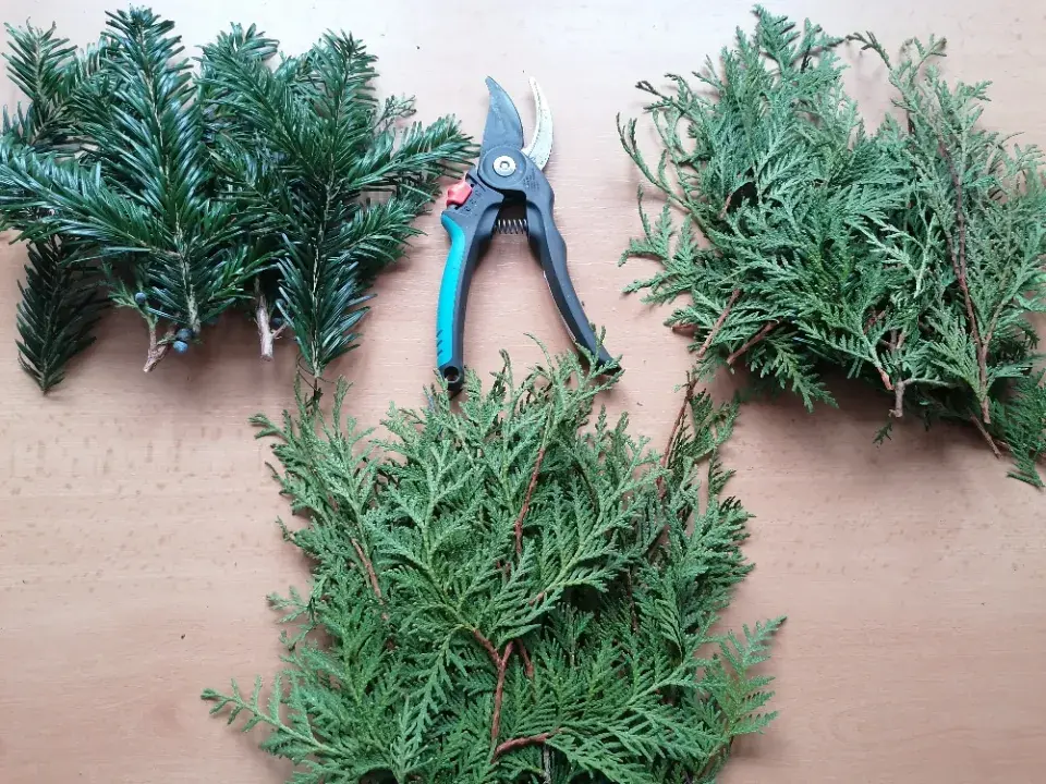 Větvičky z jehličnanů