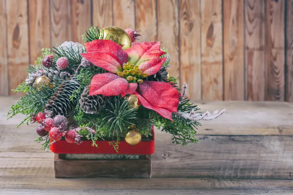 aranžmá ze živých květin