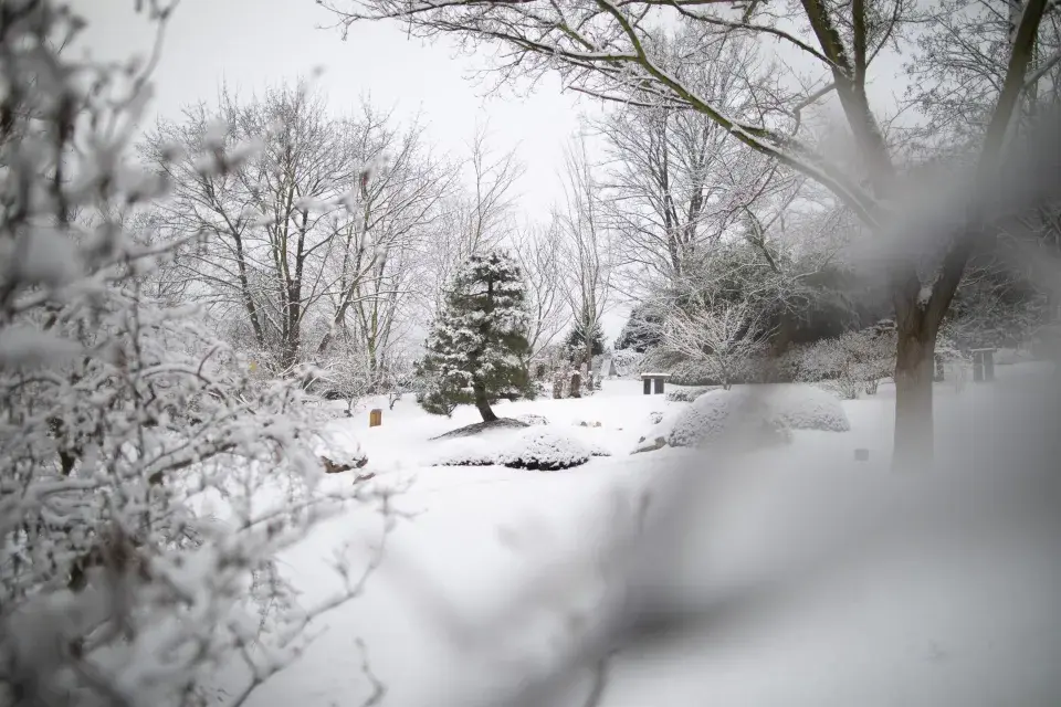 Botanická zahrada hl. m. Prahy