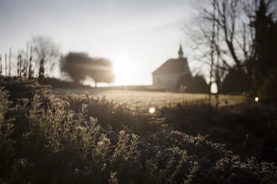 Botanická zahrada hl. m. Prahy