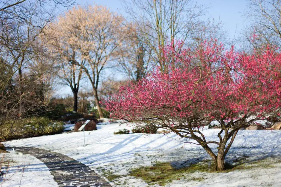 Botanická zahrada hl. m. Prahy