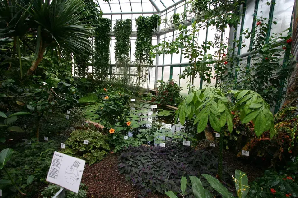 Botanická zahrada Liberec