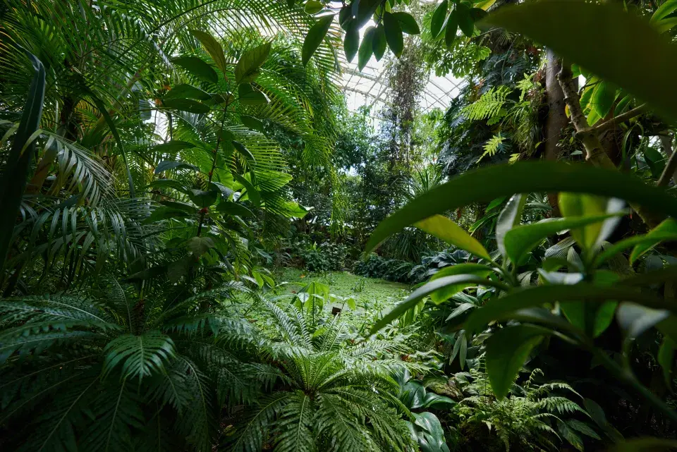 Botanická zahrada Teplice