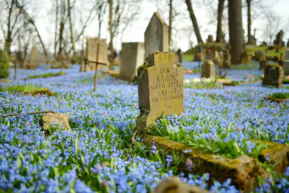 osázení jarními rostlinami