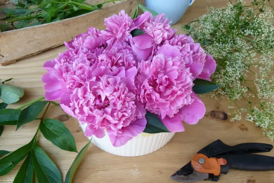 DIY kytice pivoněk