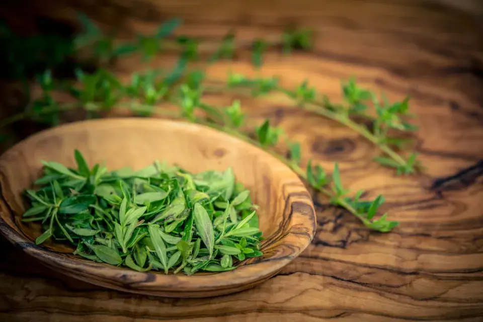 Saturejka zahradní (Satureja hortensis)