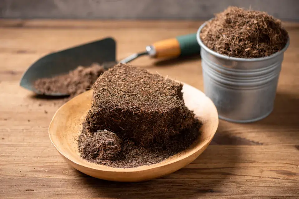 Kokosové vlákno bývá součástí substrátů, ale můžete jej koupit i samostatně