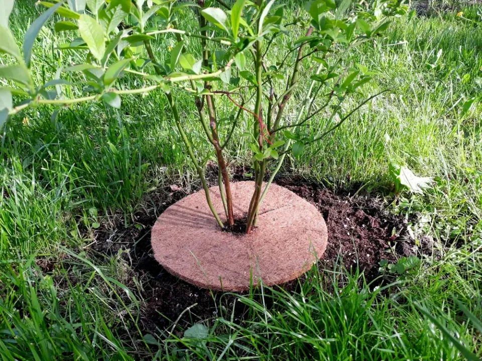 Mulčovací disk z kokosového vlákna