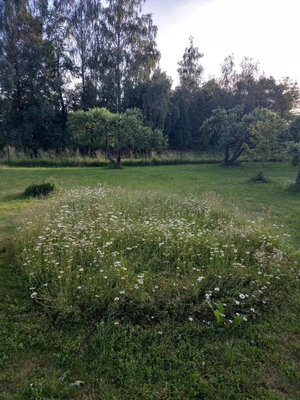 Návštěva rodné zahrady  Věry Martinové a její sestry Lenky Slavíkové