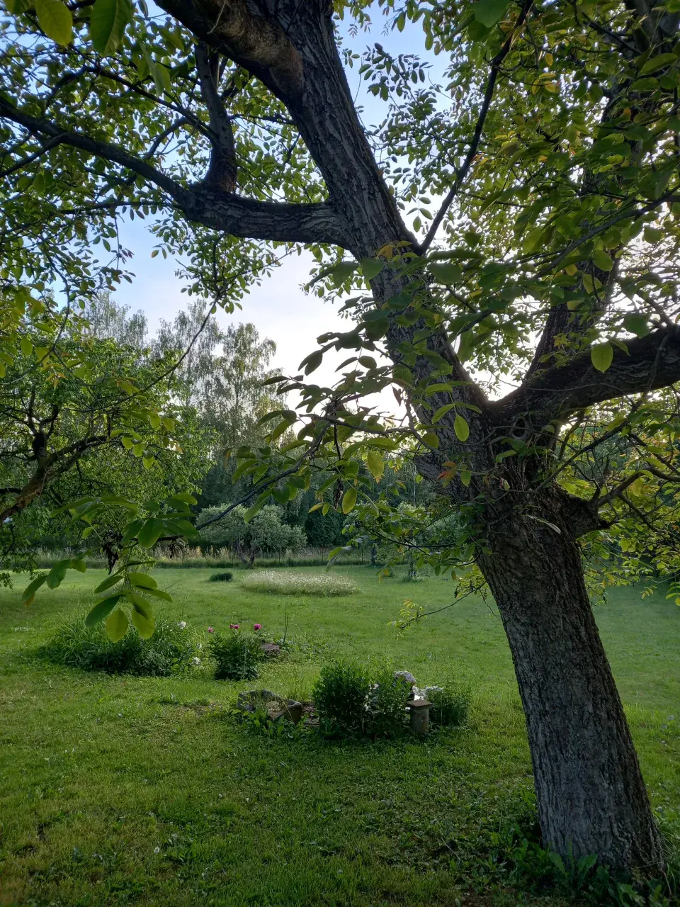 Návštěva rodné zahrady  Věry Martinové a její sestry Lenky Slavíkové