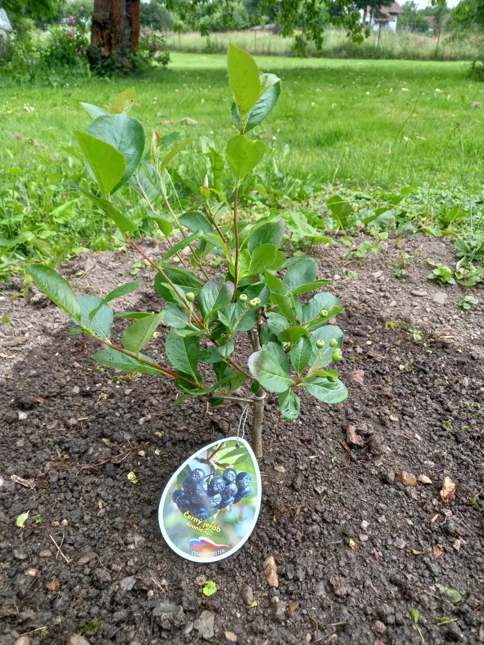 Návštěva rodné zahrady Věry Martinové a její sestry Lenky Slavíkové