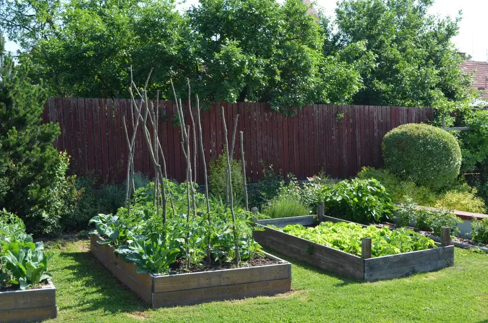 Vyvýšené záhony na zahradě